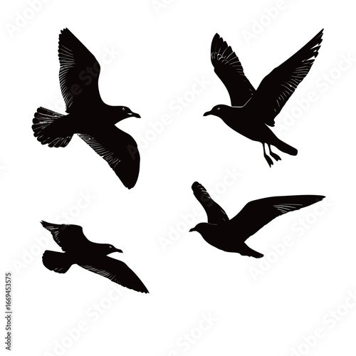 Numerous birds soar gracefully through the air, their silhouettes stark against the bright white background. The scene captures their freedom and fluid movement as they navigate the sky.