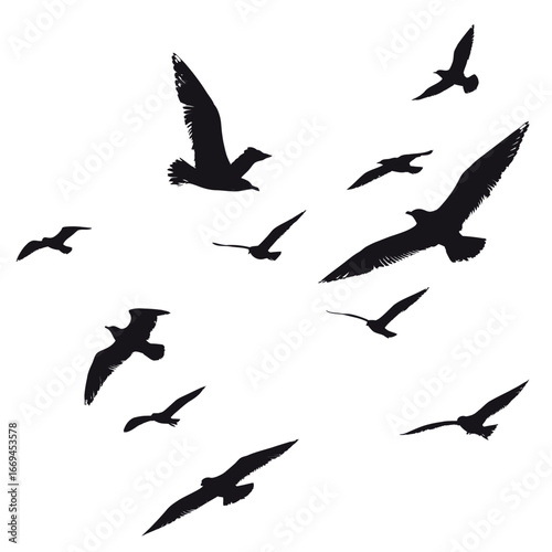 Numerous birds soar gracefully through the air, their silhouettes stark against the bright white background. The scene captures their freedom and fluid movement as they navigate the sky.