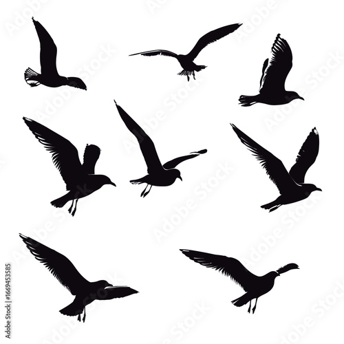 Numerous birds soar gracefully through the air, their silhouettes stark against the bright white background. The scene captures their freedom and fluid movement as they navigate the sky.