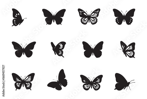 Butterfly Vector Silhouette Set