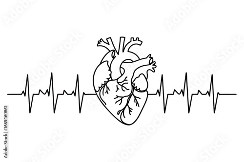 Anatomical heart drawing with a continuous electrocardiogram heartbeat line symbolizing life and health