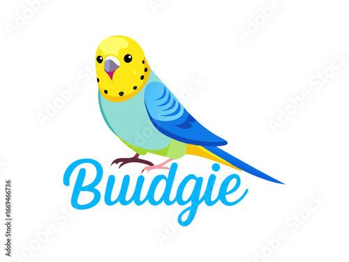 a vibrant blue and yellow parakeet, also known as a budgie or budgerigar, set against a clean white background
