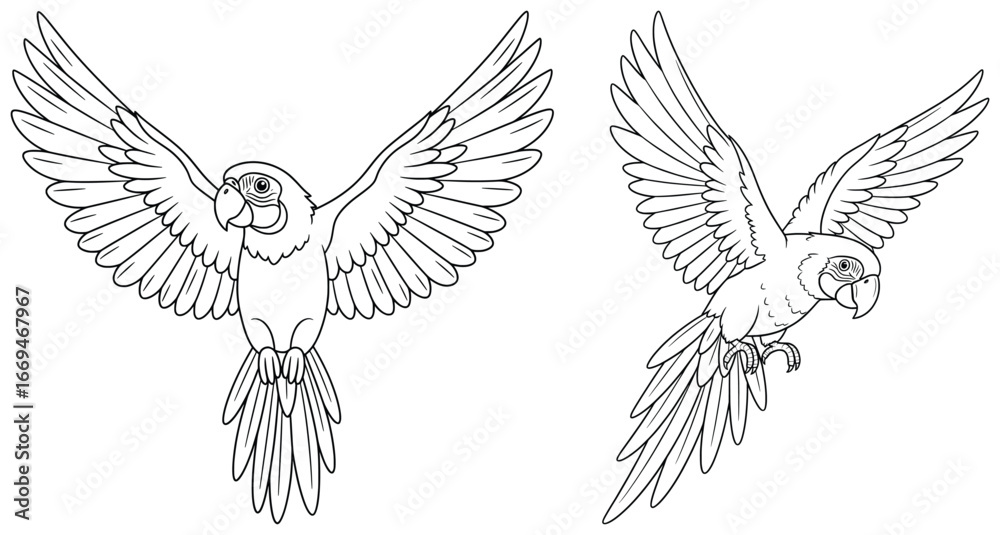 Fototapeta premium Parrot flying outline vector illustration with open wings drawn in clean black line art style perfect for wildlife design projects and nature artwork