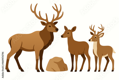 Three deer standing near a rock in a natural setting with large antlers on white background