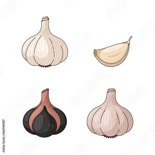 Fresh Garlic Cloves and Bulbs