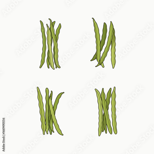 Long Beans Vegetable Harvest