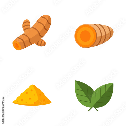 Turmeric Plant, Close-Up wit different pose