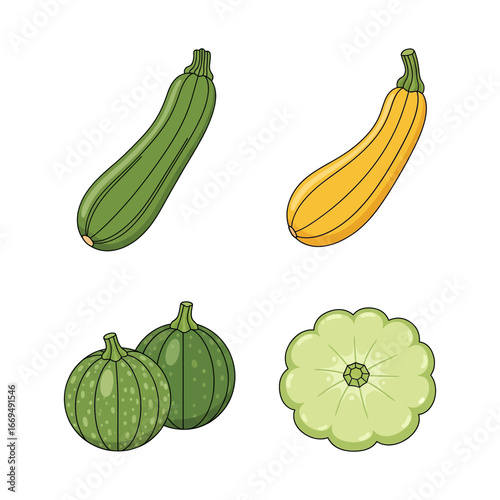 Fresh Green Zucchini Harvest