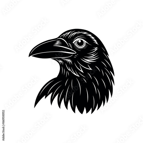 Monochrome illustration of a raven head showing its detailed feathers and eyes Silhouette vector