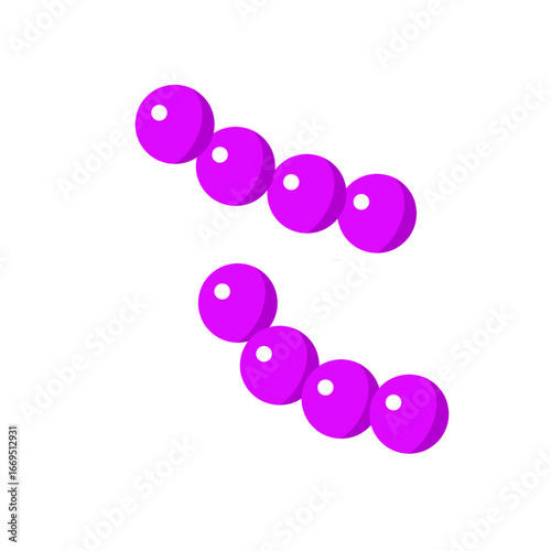 Streptococcus pneumoniae bacterial vector