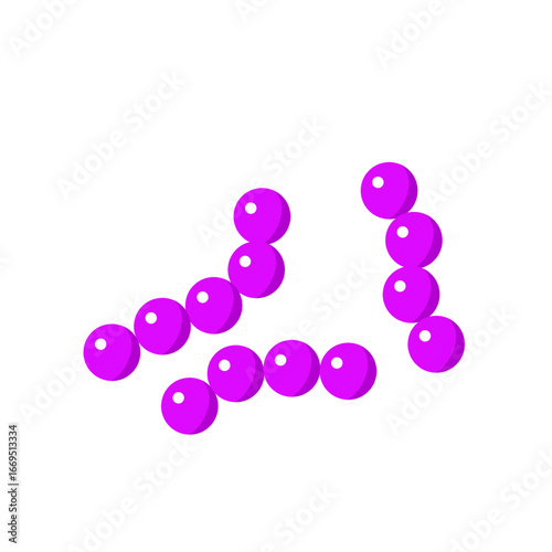 Streptococcus pneumoniae bacterial vector
