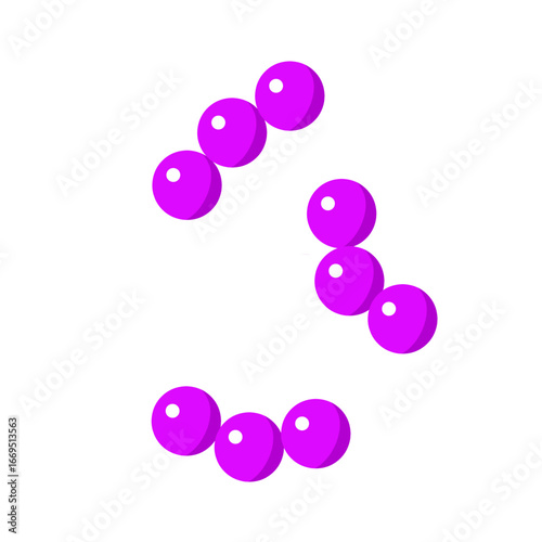 Streptococcus pneumoniae bacterial vector