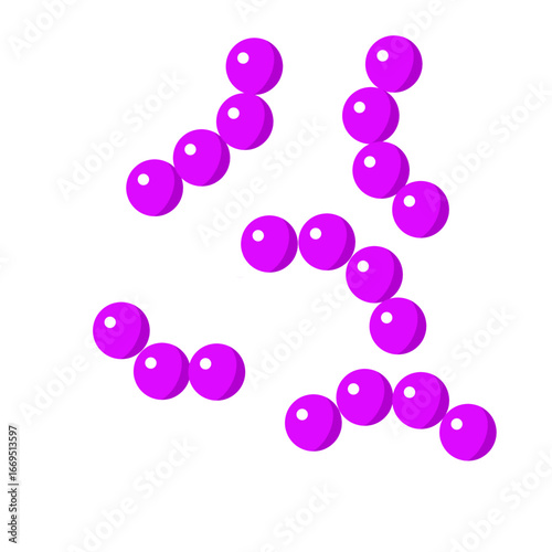 Streptococcus pneumoniae bacterial vector