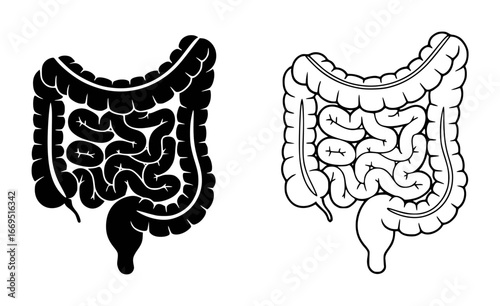 Human Intestines Silhouette and Outline Icons anatomy digestive system