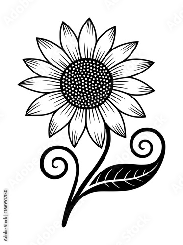 Stylized black and white sunflower with swirling stem and leaf bloom blossom