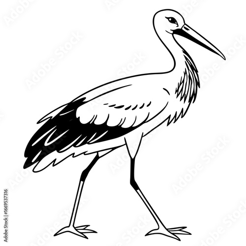 stork on a white background