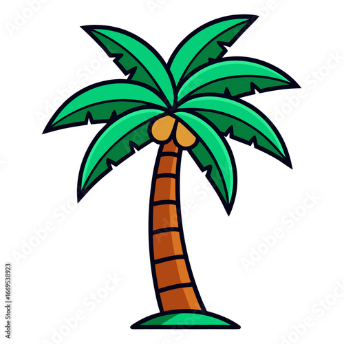 vector illustration of a palm tree