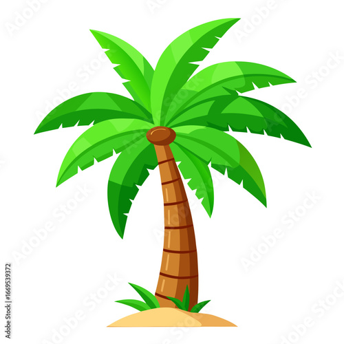 palm tree vector illustration