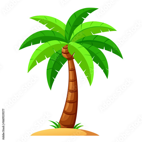 palm tree vector illustration