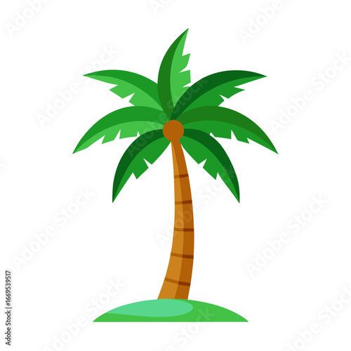 palm tree vector illustration