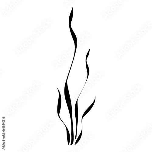 Coral vector icon. Seaweed illustration sign. Algae symbol or logo. seaware web icon.