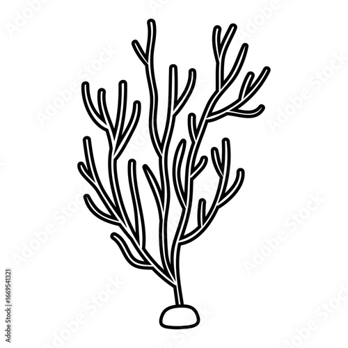Coral vector icon. Seaweed illustration sign. Algae symbol or logo. seaware web icon.
