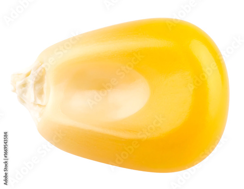 Isolated Macro Shot of a Single Corn Kernel