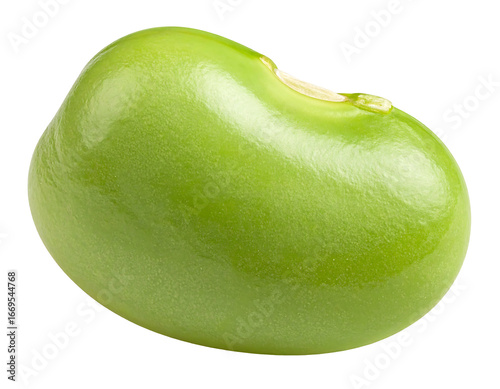 Isolated High-Resolution Lima Bean on Clean Background