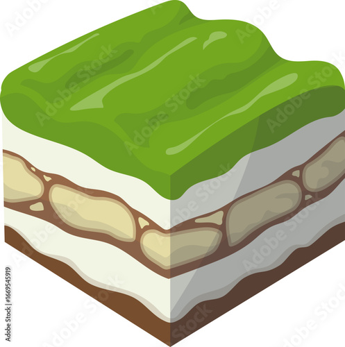 Matcha Tiramisu Dessert Vector Illustration