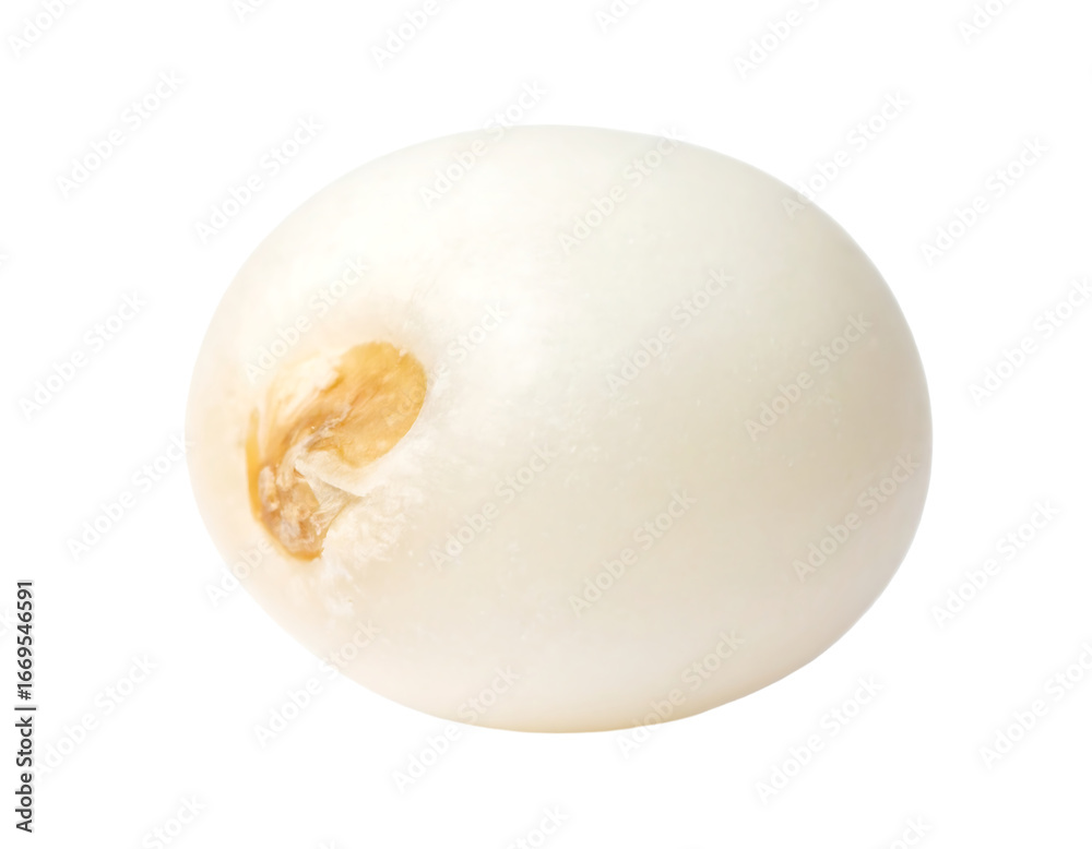 Obraz premium Isolated Pearl Millet Grain on White Background