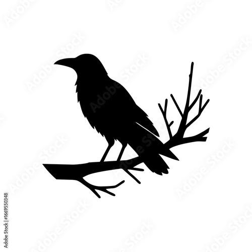raven on a branch