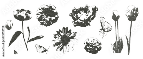 Flowers with photocopy retro effect set. Daisy, peony and tulip with lily plant. Y2k grain elements. Stippling collage shapes on transparent background. Vector magazine noisy illustration.