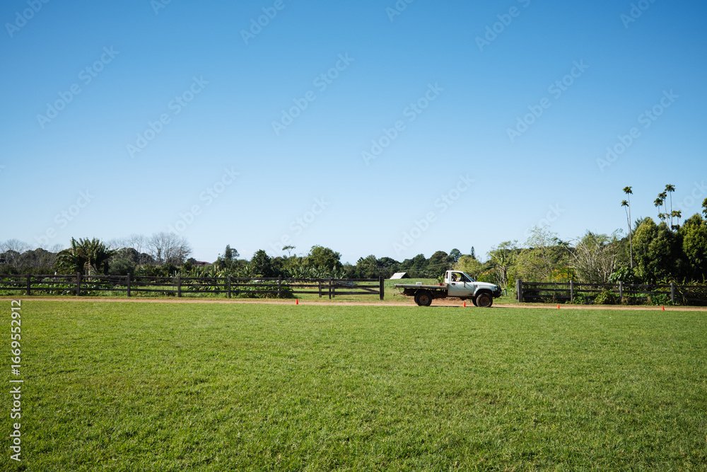 Fototapeta premium Farmer driving pickup truck through green field on sunny day