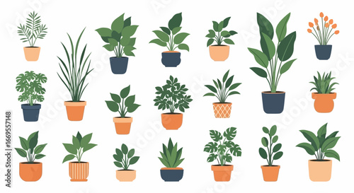 Vector illustration set of various indoor plants in ceramic and terracotta pots. A collection of green houseplant icons for home decor concepts