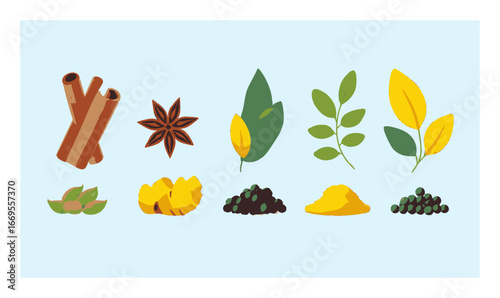 Colorful Flat Cartoon Illustrations of Various Spices and Herbs