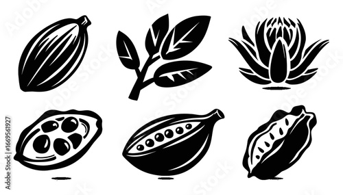 Black and White Cocoa Pod Illustrations with Leaves and Flowers Designs