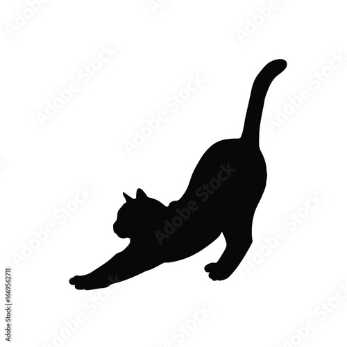 Black cat stretching sideways with tail up on white background