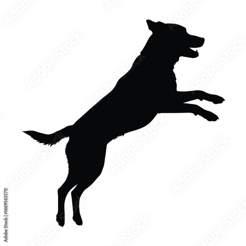A black dog jumping in the air with its mouth open and ears up