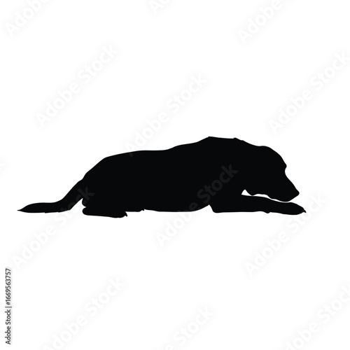 Black silhouette of a dog lying down on a white background quietly