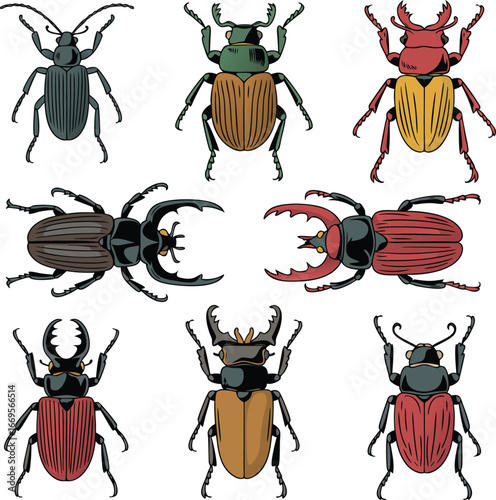 Collection of Illustrated Beetles Stag Beetles, Scarab Beetles, and Ground Beetles Insect Designs