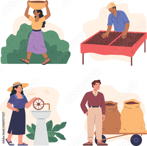 Illustration of Coffee Bean Harvesting and Processing Stages Collection, Washing, and Storage