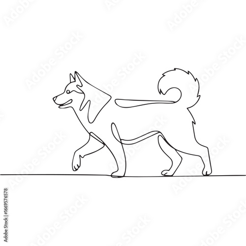 Continuous line of walking standing Alaskan Malamute .Single one line art of wild Alaskan Malamute , One continuous line illustration of an Alaskan Malamute isolated on white background.
