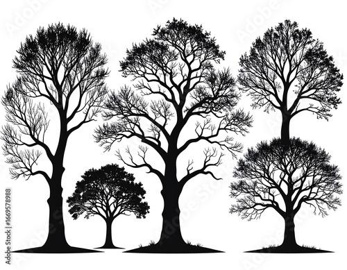 Silhouettes of four different trees