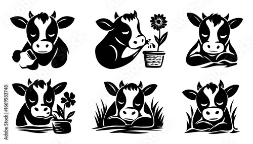 Playful Cows in Various Leisure Activities and Nature Scenes