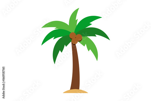 palm tree isolated on white