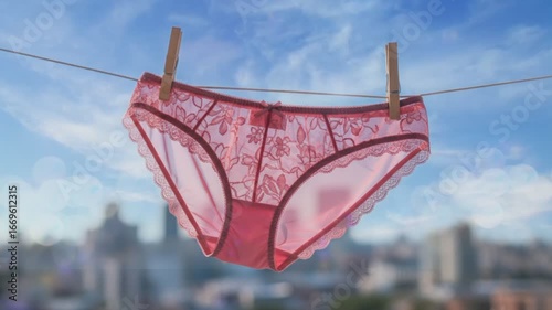 Pink Lace Panties Hanging on a Clothesline with Cityscape Background