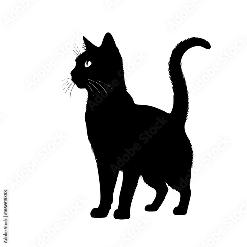 Silhouette of a black cat standing with its tail up on a white background