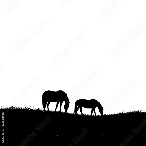 Silhouette of two horses grazing in a field against a white background