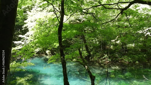 【自然・風景】澄んだ水が流れる風景　250815-3