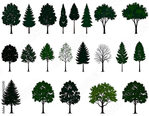 Silhouettes of various trees against a white background (1)